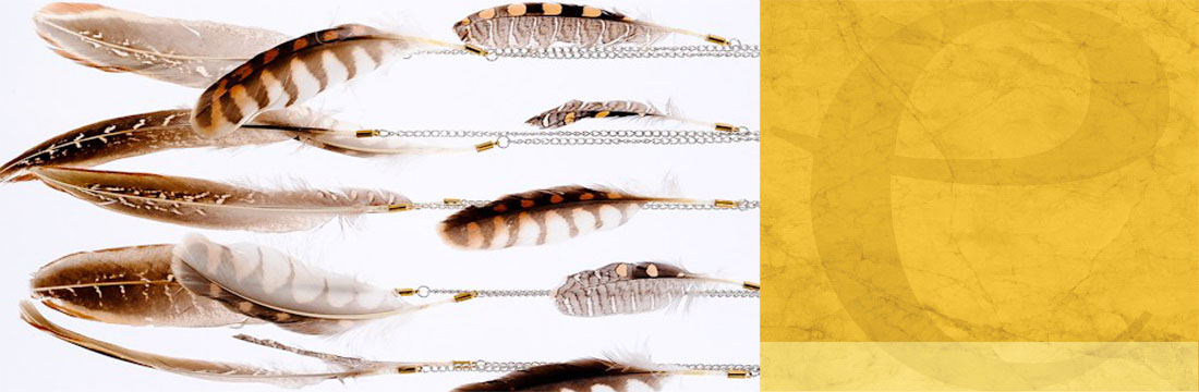 Vogelfedern-Ornamente Vogelfedern-Ornamente